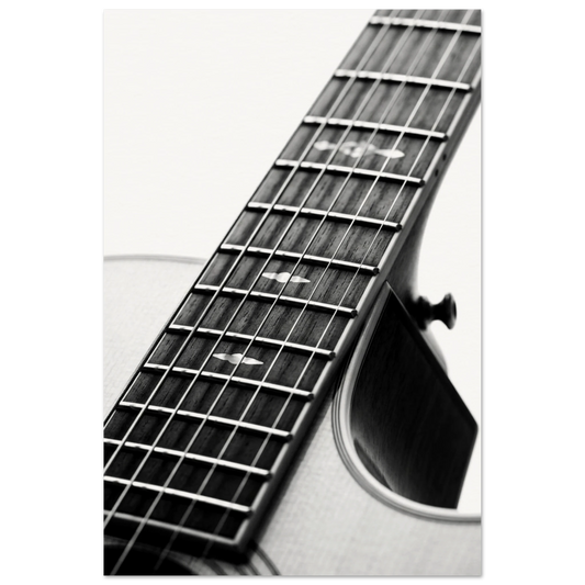acoustic guitar macro fretboard print