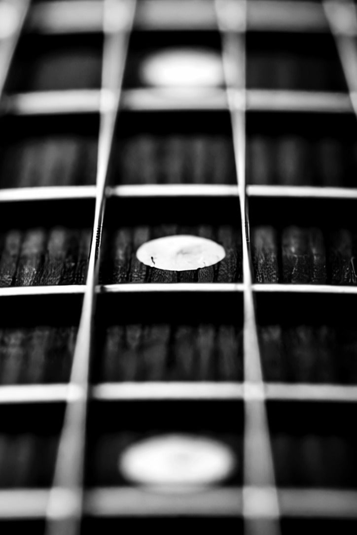 Close-up of a guitar fretboard with black and white color scheme