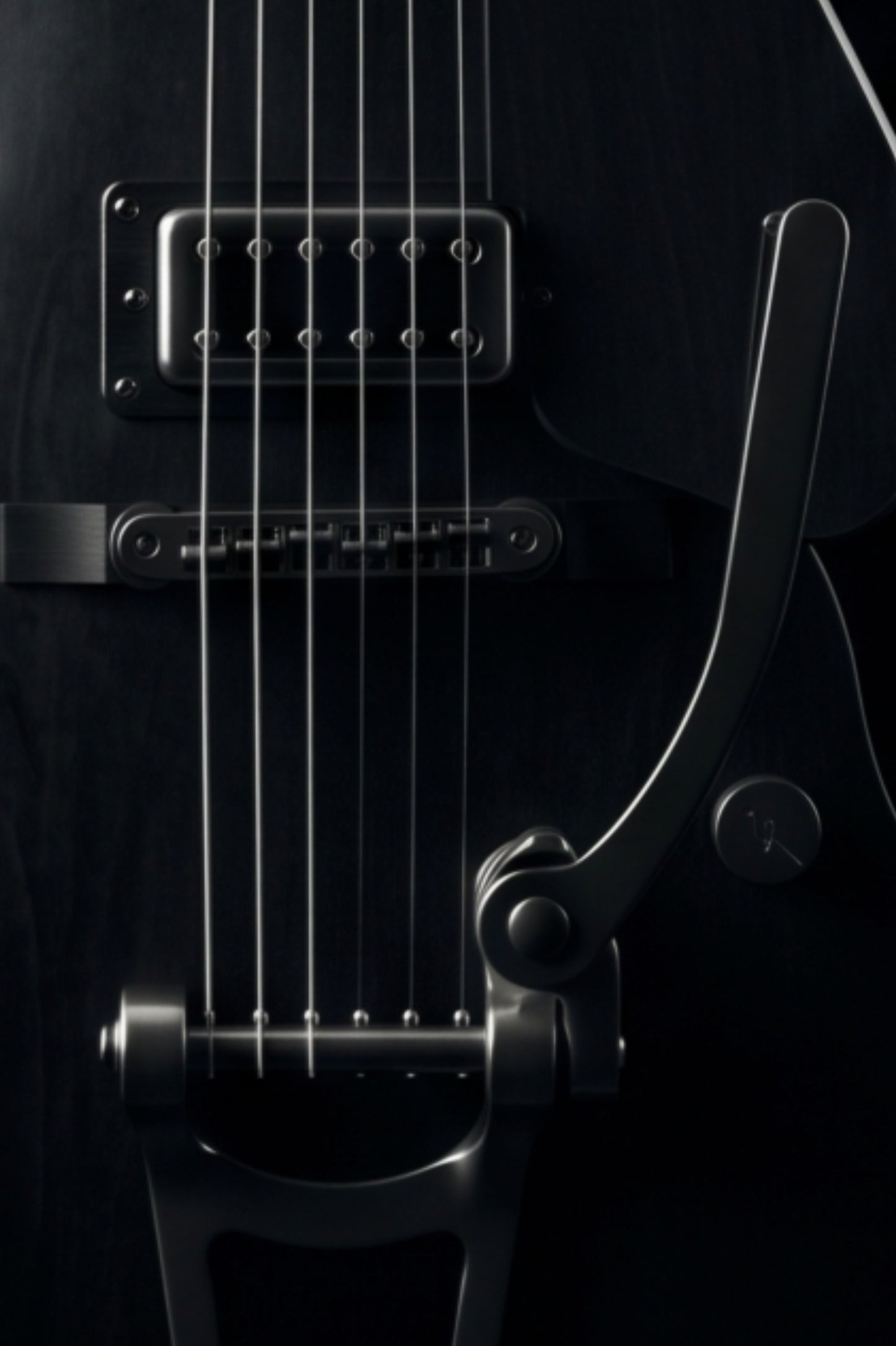 Close-up detail of Gretsch hollowbody guitar pickup, strings and Bigsby tremolo arm — Gretsch Shadow print by Guitar Prints