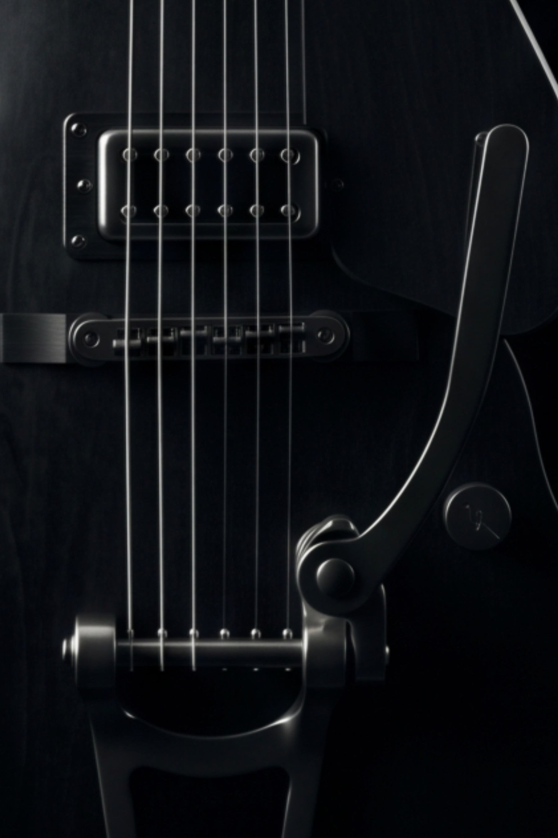 Close-up detail of Gretsch hollowbody guitar pickup, strings and Bigsby tremolo arm — Gretsch Shadow print by Guitar Prints