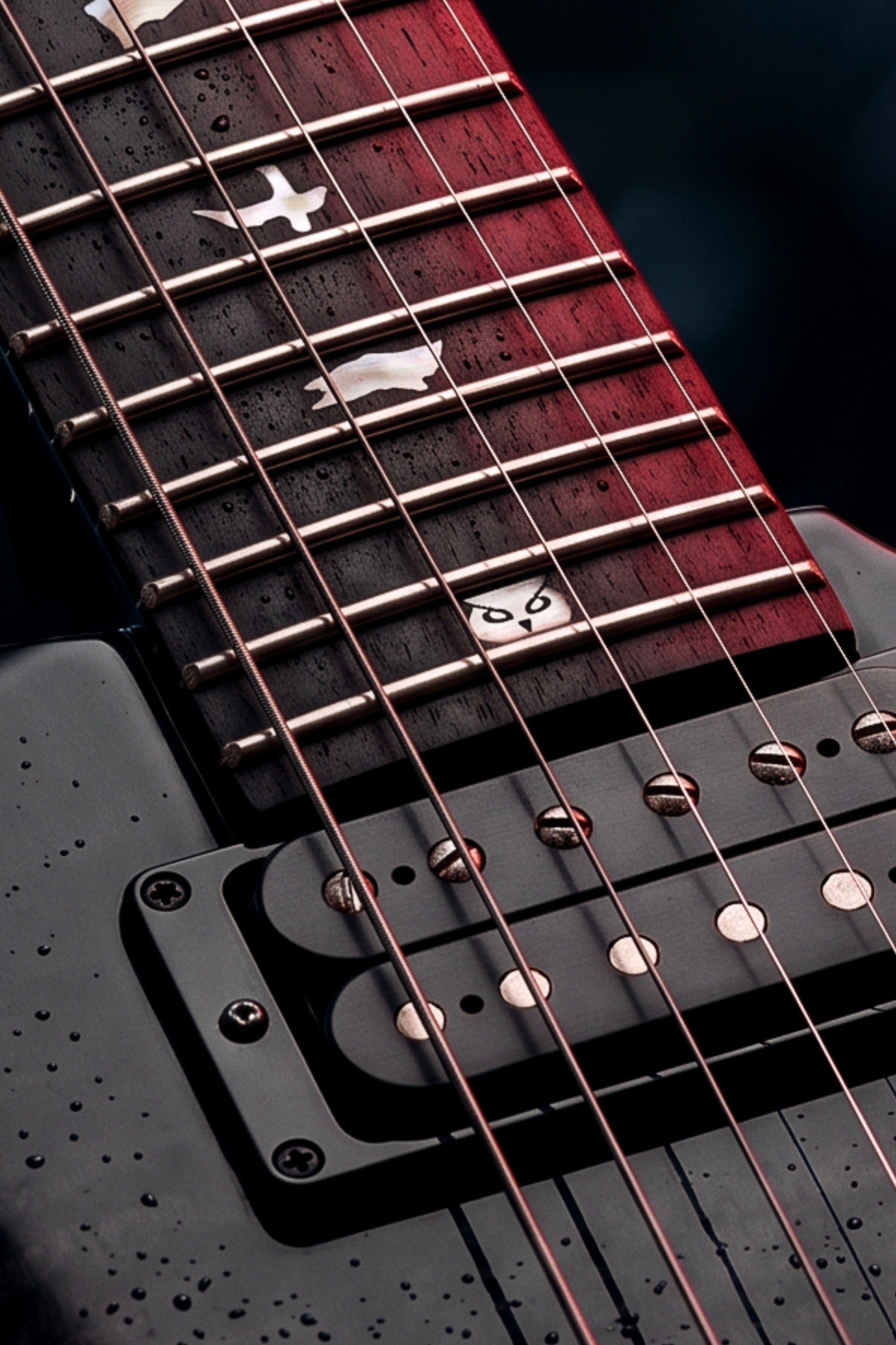 Close-up of a prs custom 24 fretboard on a dark background