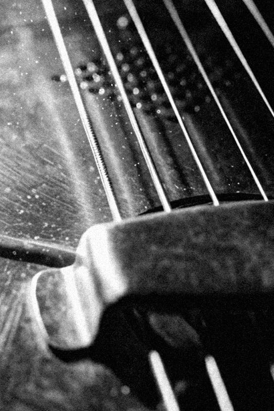 Close-up of a guitar's fretboard and strings in black and white.